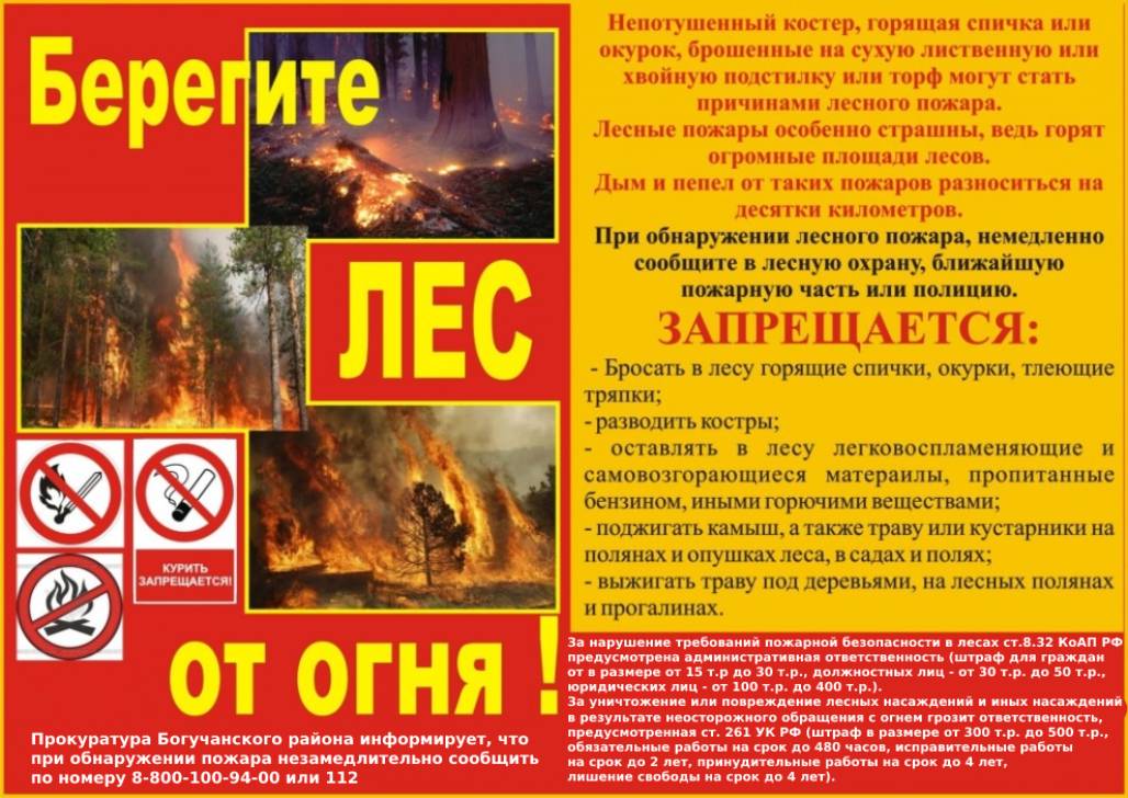 Прокуратура информирует: Берегите лес от огня.