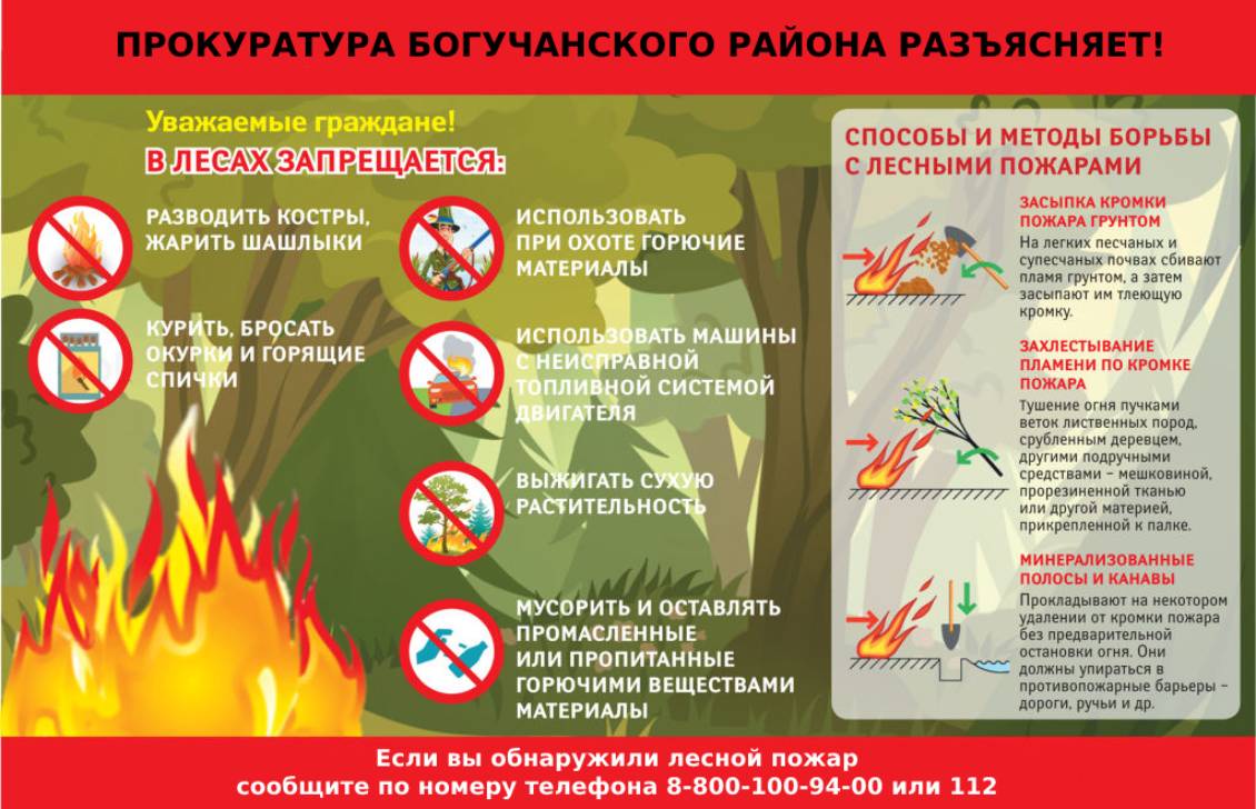 Прокуратура разъясняет: В Лесах запрещено:.