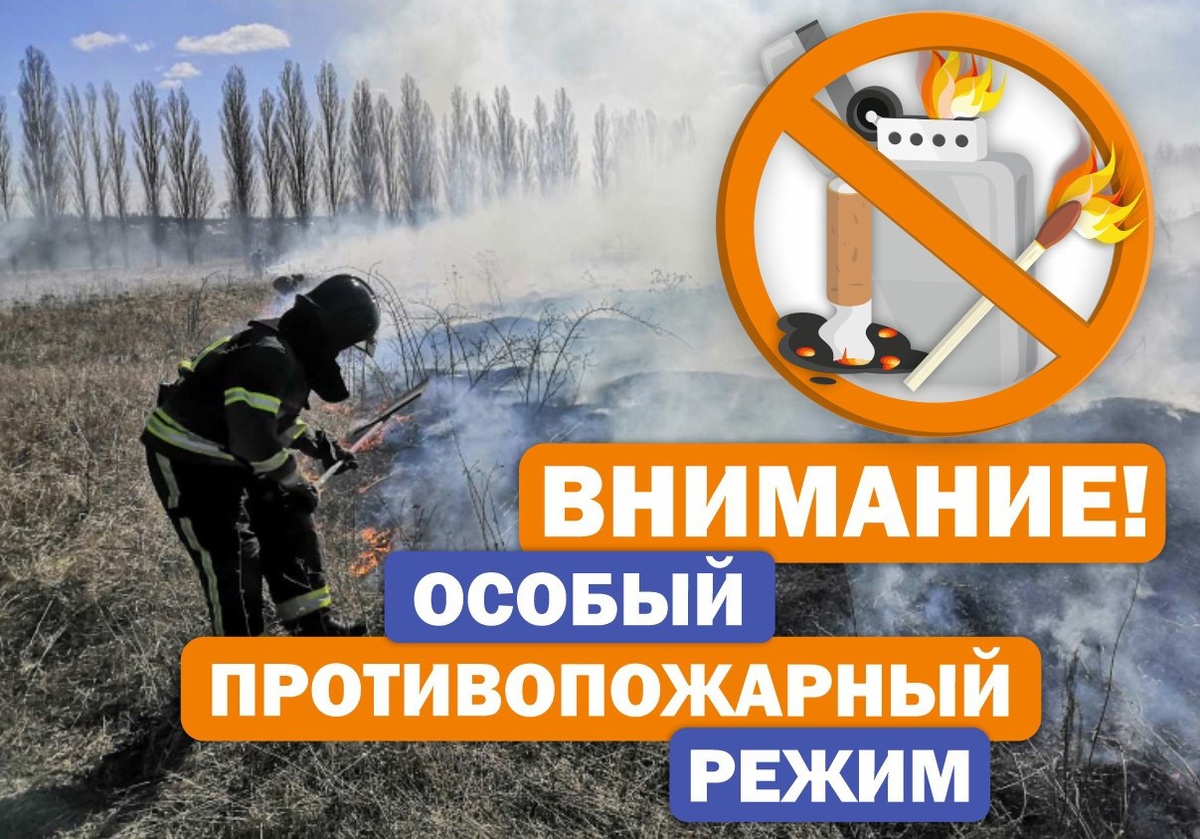 С 5 мая 2025 года на территории городских округов Лесосибирск и Енисейск, а также Богучанского, Енисейского, Казачинского, Мотыгинского муниципальных районов Красноярского края, Кежемского, Пировского и Северо-Енисейского муниципальных округов планируют в.